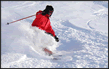 Use the Ski and Snowboard Directory!
